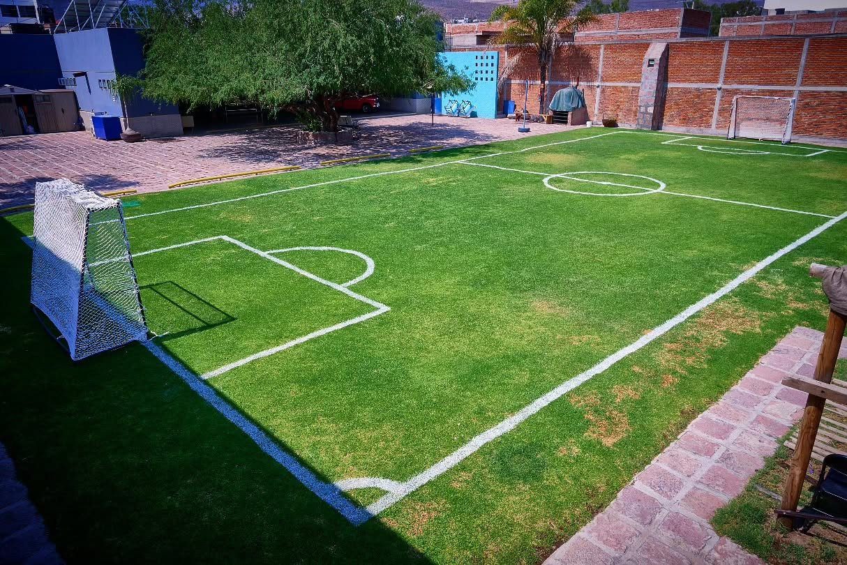 Cancha de fútbol de pasto natural con portería y líneas marcadas