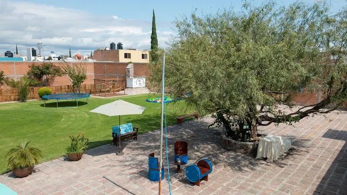 Área de jardín de Origo con árbol grande y zona de descanso